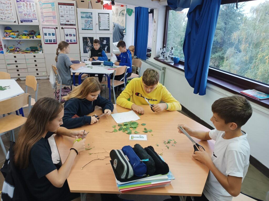 Filtracija i kromatografija na satu Prirode