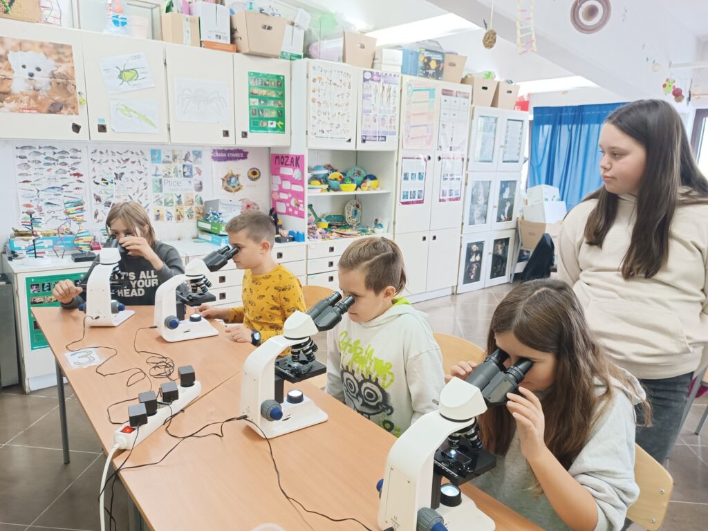 Uporaba mikroskopa u petim razredima