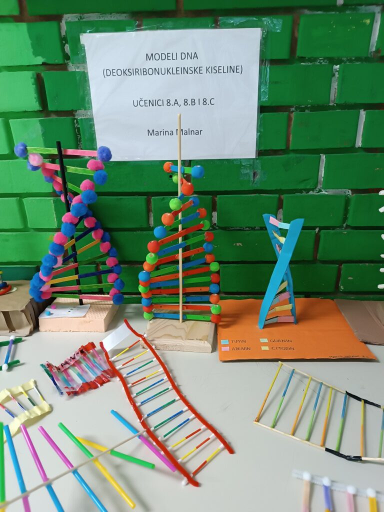 Izložba modela DNA molekula